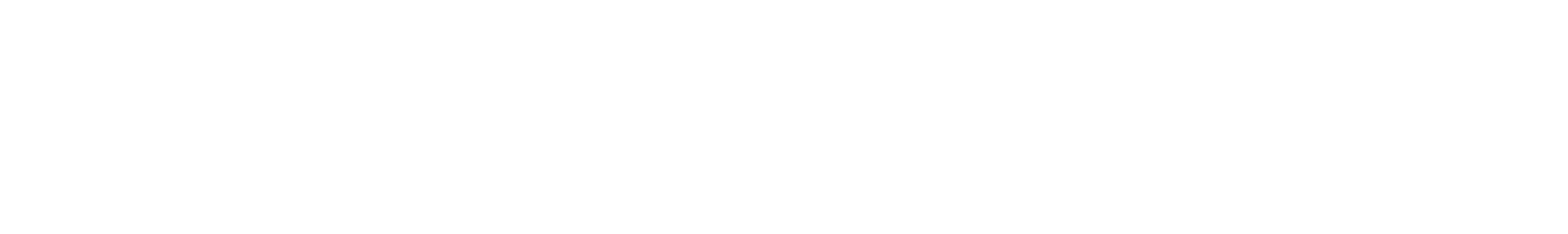 The Rocket Guy